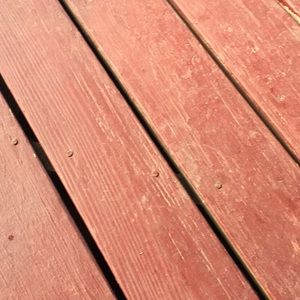 Meet your Posher, Randy